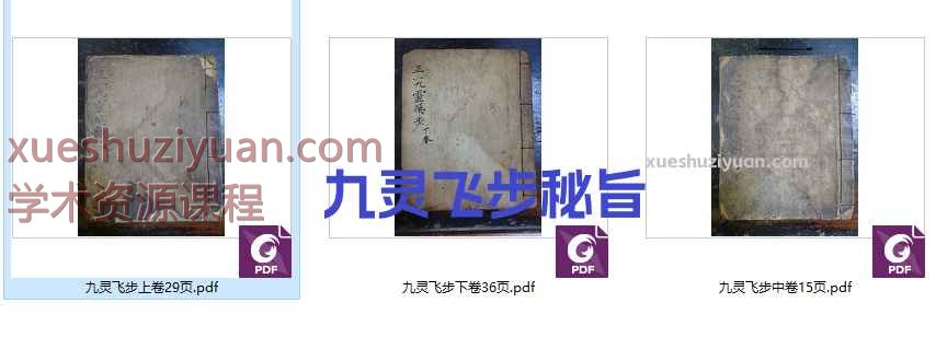 九灵飞步秘旨插图