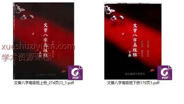 文曾《八字盲派高级班》电子书上下2册Y插图