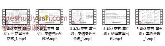 洛元老师依婷体系紫微斗数感‬情专题课 5节视频‬Y插图