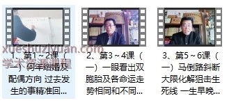 盖方源【七柱命理】高级班6课视频，约9小时课时Y插图