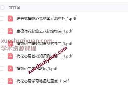 陈春林《2025版梅花易数心易学习笔记》PDF文档6册合集，附试卷、流年卦等Y插图