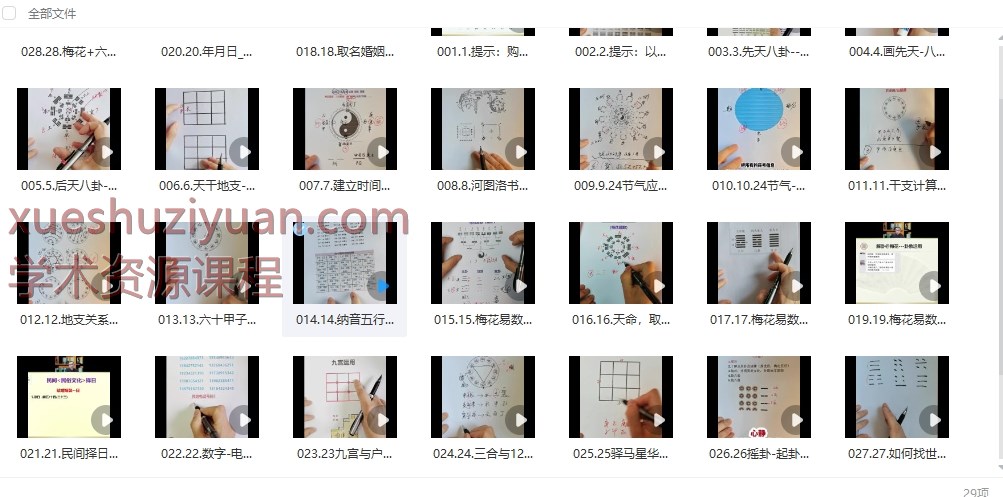 250865 泰和老师术数合集梅花易数全年系統課（学员专属课）29节视频Y插图