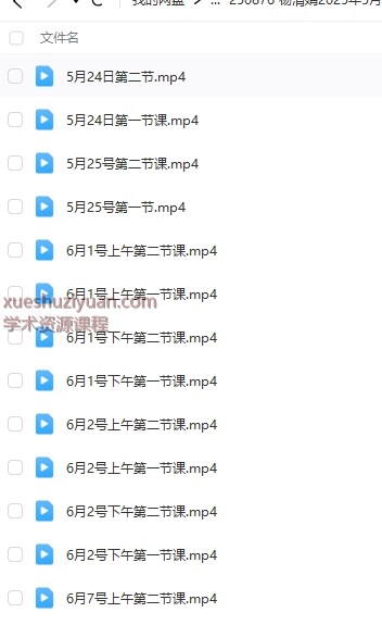 杨清娟2025年5月-6月盲派八字高维班，40集视频Y插图