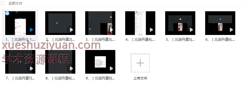 陈真人《北派丹道》教学视频9集Y插图