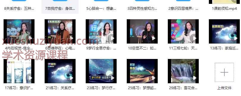 詹唐宁意识心像：高阶实修营丨第二营-29节 视频课Y插图
