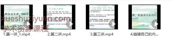 2025年明玉财富流年课4集视频Y插图