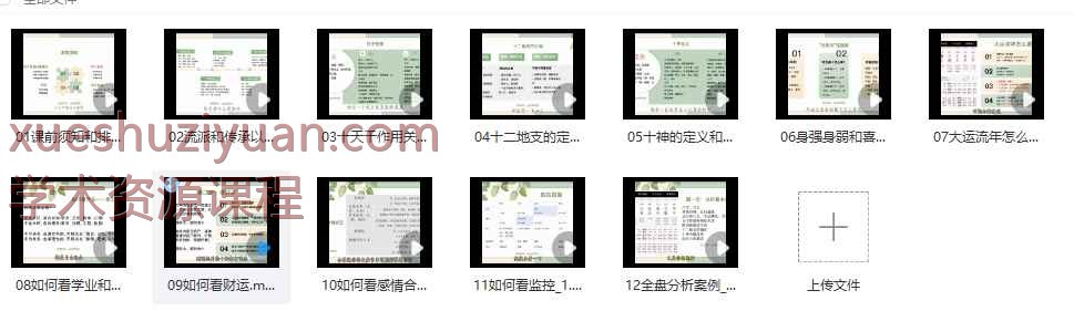 25年周周 《周易八字训练营》视频12集 科学的人生剧本分析Y插图