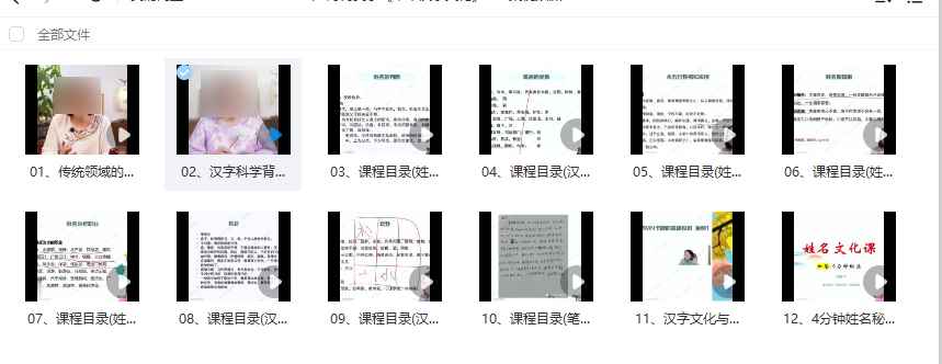 2508209  25年7月何曼宁《中华汉字文化》 12 集视频课Y插图