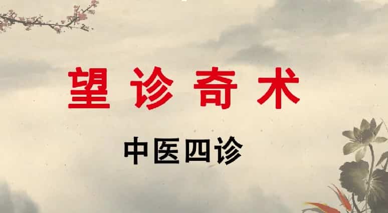 王栋博士望诊奇术 147集插图1 王栋博士望诊奇术 147集插图1