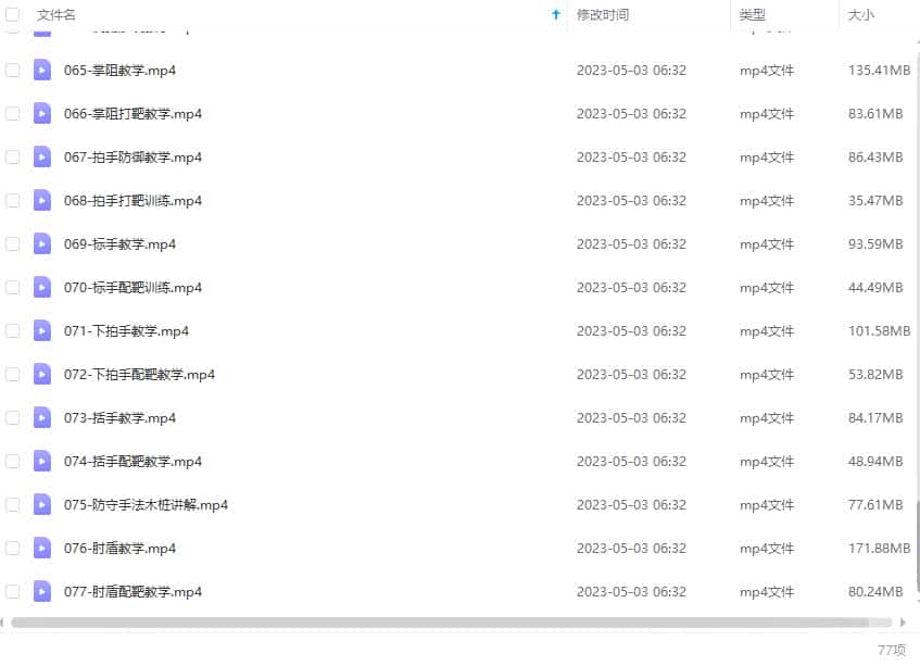 李小龙三代传人亲授截拳道（核心秘技）77课时高清视频插图1